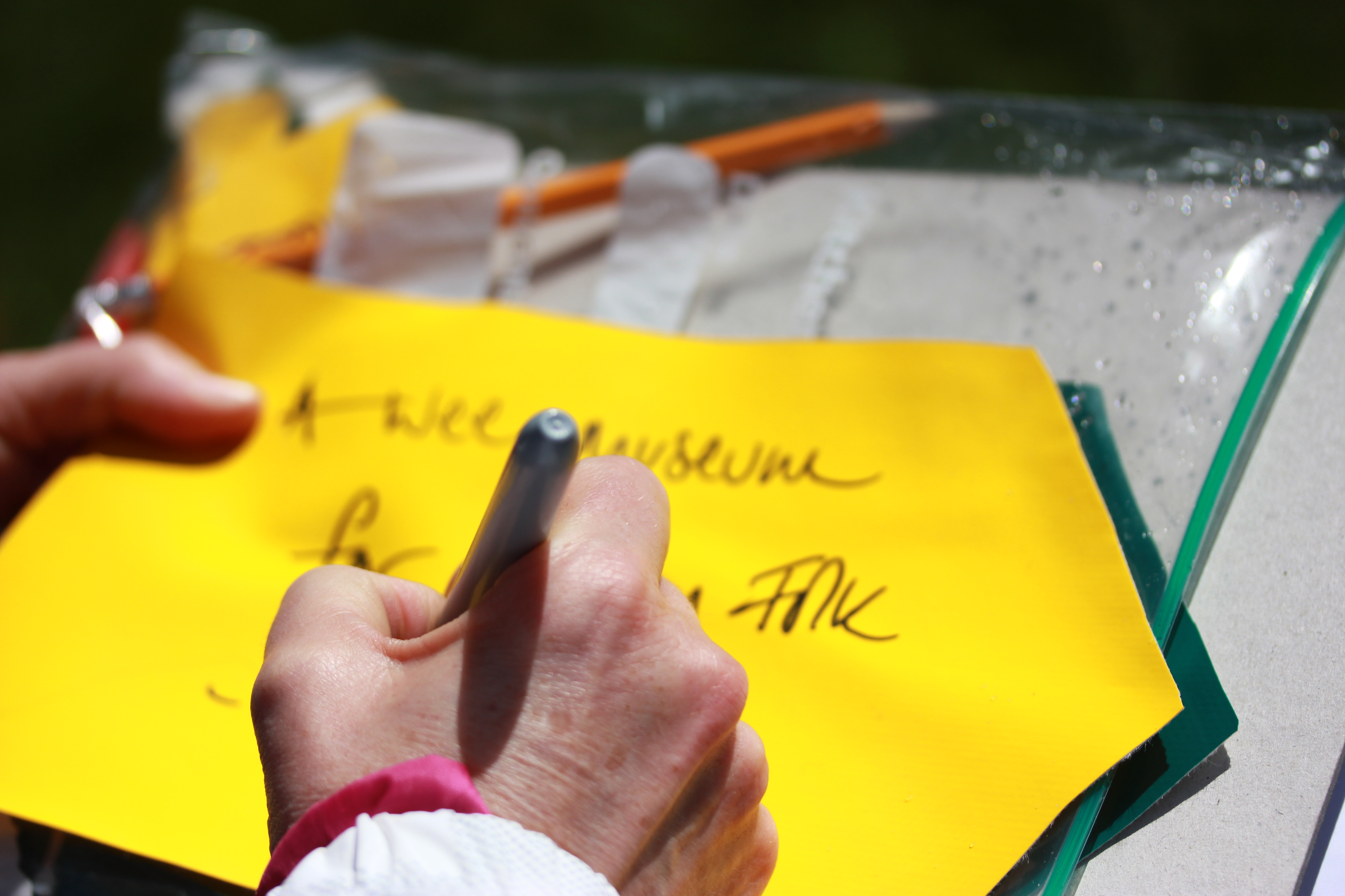 Copy of IMG_3894.JPG